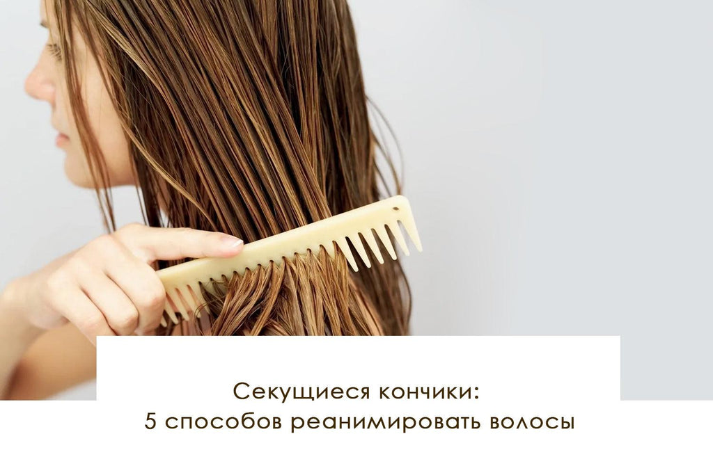 Секущиеся кончики: 5 способов реанимировать волосы